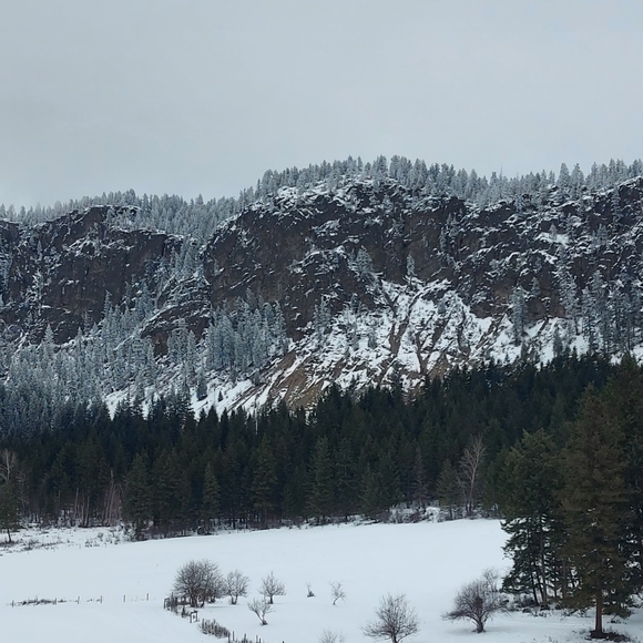 Meet your Posher, TL - Picture 8 of 14